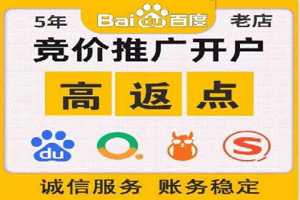 百度平台推广：成功案例解析与效果分析